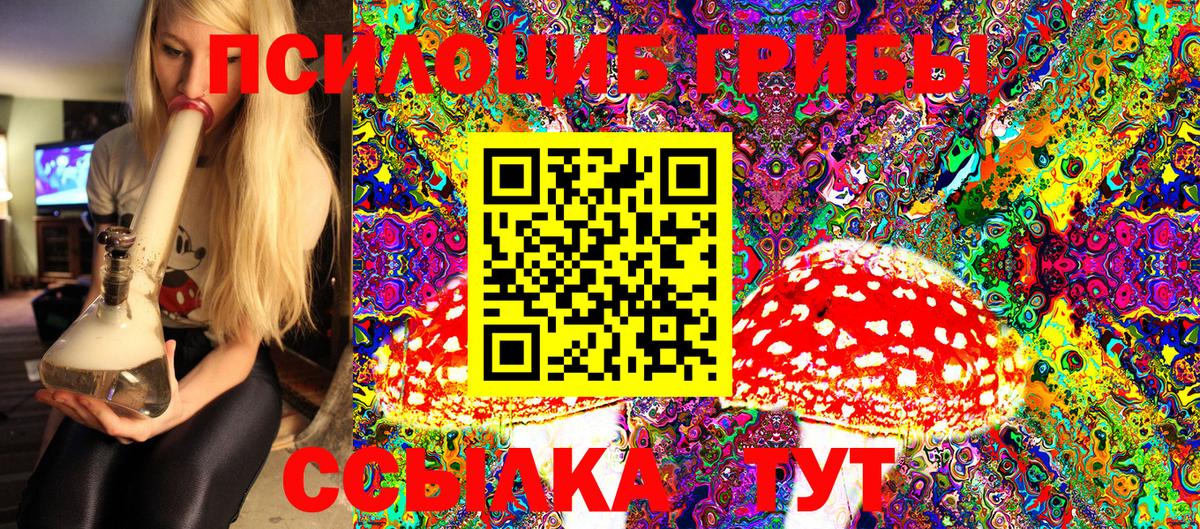 Галлюциногенные грибы Cubensis Мыски