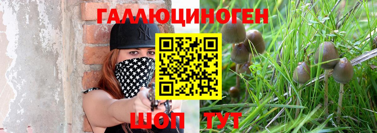 Галлюциногенные грибы Cubensis  Вход с VPN  Мыски  Галлюциногенные грибы Magic Shrooms 